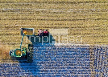 terreno - Agricultural land via Monte Grappa, Marcon - photo 3