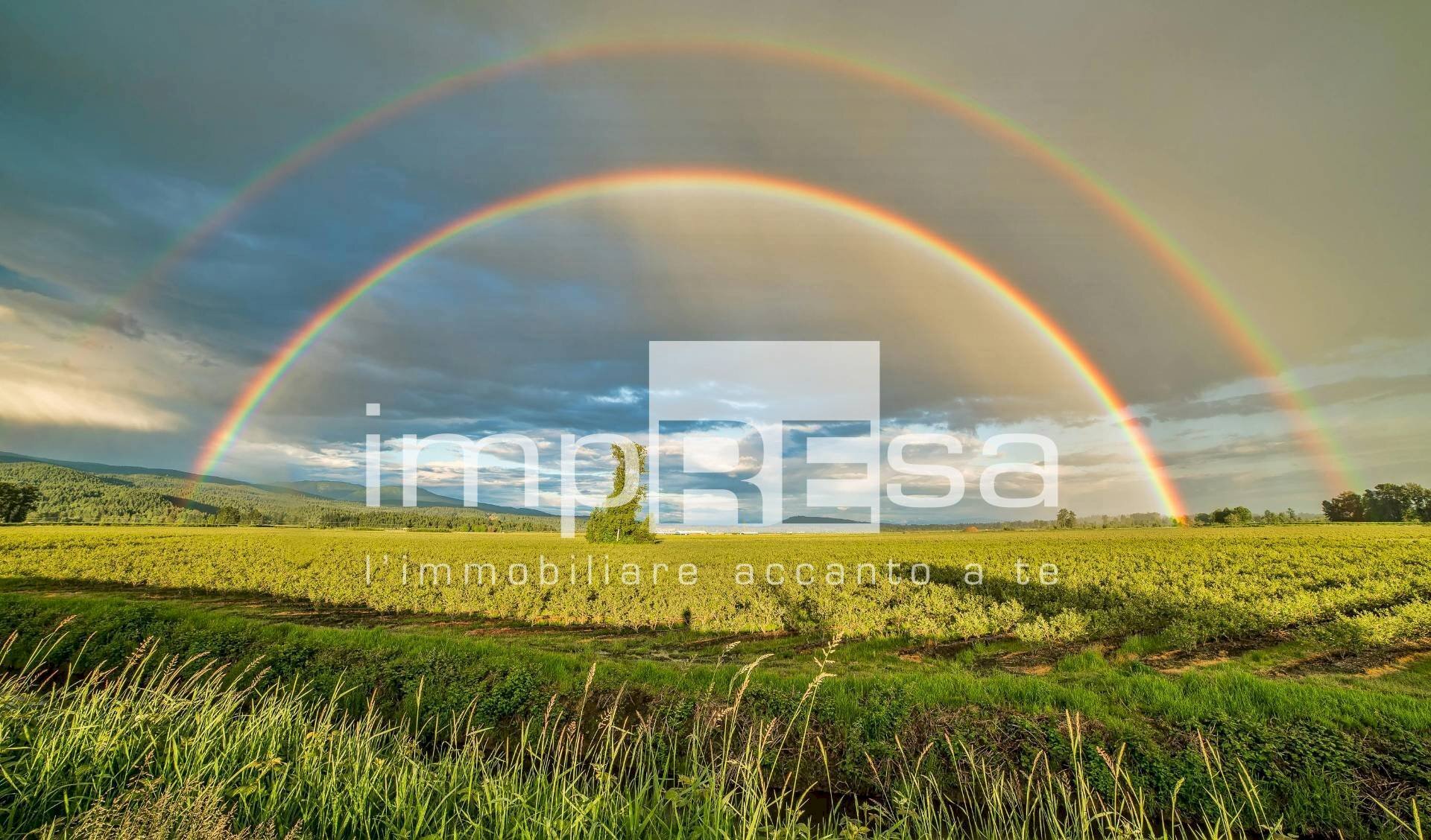TERRENO AGRICOLO - Terreno agricolo via del Tegolone, Casale sul Sile - foto 1