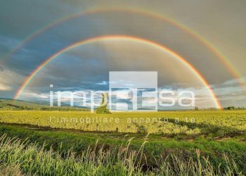 TERRENO AGRICOLO - Terreno agricolo via del Tegolone, Casale sul Sile - foto 1