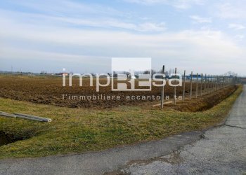 TERRENO AGRICOLO - Terreno agricolo via del Tegolone, Casale sul Sile - foto 4