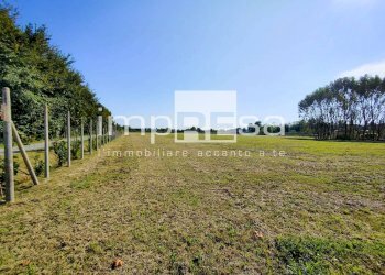 TERRENO AGRICOLO - Terreno agricolo via del Tegolone, Casale sul Sile - foto 6