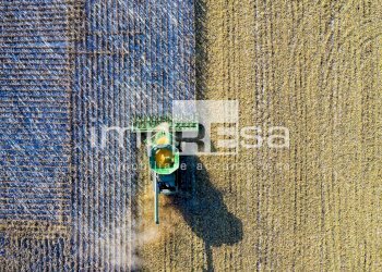 TERRENO AGRICOLO - Terreno agricolo via del Tegolone, Casale sul Sile - foto 8