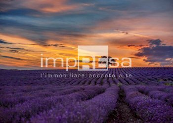 TERRENO AGRICOLO - Terreno agricolo via del Tegolone, Casale sul Sile - foto 9