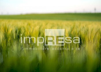 TERRENO AGRICOLO - Terreno agricolo via del Tegolone, Casale sul Sile - foto 11