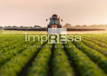 TERRENO AGRICOLO - Terreno agricolo via del Tegolone, Casale sul Sile - foto 13