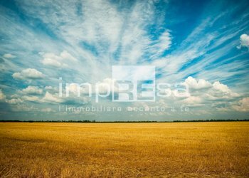 TERRENO AGRICOLO - Terreno agricolo via del Tegolone, Casale sul Sile - foto 14