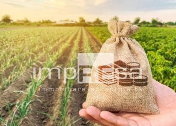 TERRENO AGRICOLO - Terreno agricolo via del Tegolone, Casale sul Sile - foto 17