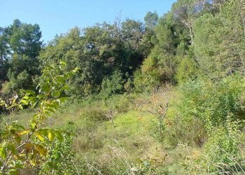 Vista del terreno circostante - Villa Strada Provinciale, Ascoli Piceno - foto 12