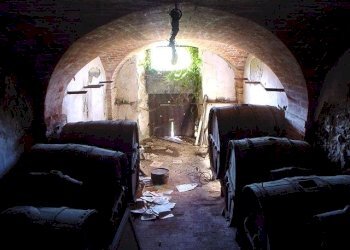 Vista interna della cantina - Villa Strada Provinciale, Ascoli Piceno - foto 17