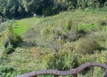 Vista del terreno circostante 2 - Villa Strada Provinciale, Ascoli Piceno - foto 20