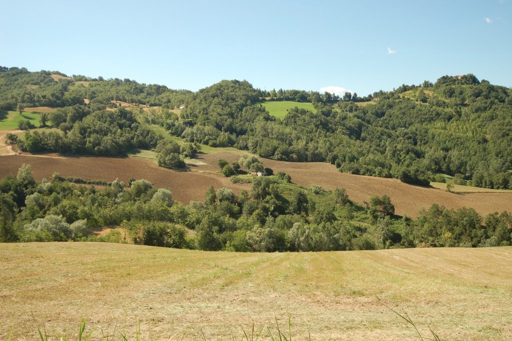 Foto 2 - Rustico Contrada Quinzano
 
1, Force - foto 2