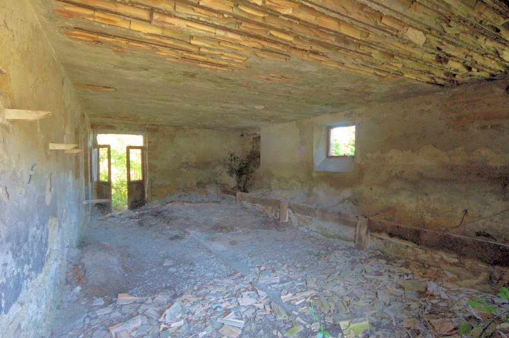 Foto 3 - Rustico Contrada Quinzano
 
1, Force - foto 3