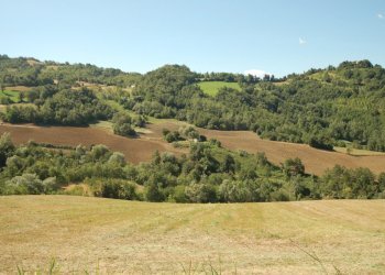 Foto 2 - Rustic Contrada Quinzano
 
1, Force - photo 2