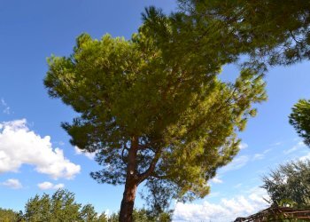 Foto 40 - Villa Collina residenziale, Colonnella - foto 40