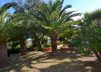 Foto 48 - Villa Collina residenziale, Colonnella - foto 48