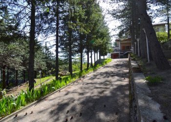 Foto 11 - Villa Colle San Marco, Ascoli Piceno - foto 11
