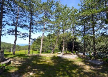 parco - Villa Colle San Marco, Ascoli Piceno - foto 12