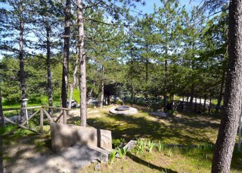 Parco interno - Villa Colle San Marco, Ascoli Piceno - foto 13