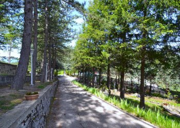 Foto 59 - Villa Colle San Marco, Ascoli Piceno - foto 59