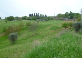 Foto 6 - Rustico Contrada Comunanza - Loc. PRETAROLO, Monsampolo del Tronto - foto 6