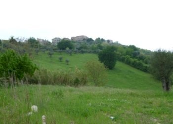 Foto 9 - Rustico Contrada Comunanza - Loc. PRETAROLO, Monsampolo del Tronto - foto 9