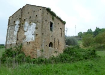 Foto 11 - Rustico Contrada Comunanza - Loc. PRETAROLO, Monsampolo del Tronto - foto 11