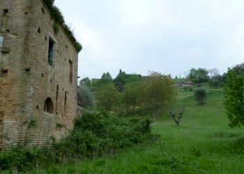 Foto 12 - Rustico Contrada Comunanza - Loc. PRETAROLO, Monsampolo del Tronto - foto 12