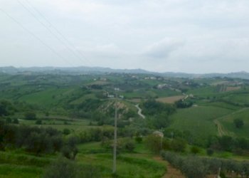 Foto 15 - Rustico Contrada Comunanza - Loc. PRETAROLO, Monsampolo del Tronto - foto 15