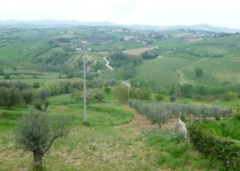 Foto 16 - Rustico Contrada Comunanza - Loc. PRETAROLO, Monsampolo del Tronto - foto 16