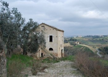 Foto 18 - Rustico Contrada Comunanza - Loc. PRETAROLO, Monsampolo del Tronto - foto 18