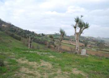 Foto 20 - Rustico Contrada Comunanza - Loc. PRETAROLO, Monsampolo del Tronto - foto 20