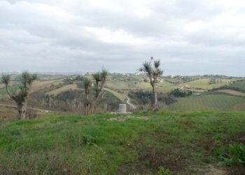 Foto 22 - Rustico Contrada Comunanza - Loc. PRETAROLO, Monsampolo del Tronto - foto 22