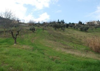 Foto 23 - Rustico Contrada Comunanza - Loc. PRETAROLO, Monsampolo del Tronto - foto 23