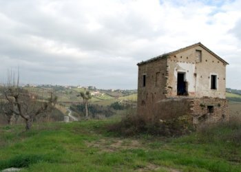 Foto 24 - Rustico Contrada Comunanza - Loc. PRETAROLO, Monsampolo del Tronto - foto 24