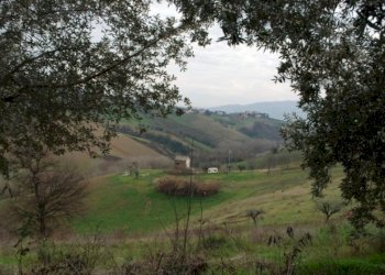 Foto 26 - Rustico Contrada Comunanza - Loc. PRETAROLO, Monsampolo del Tronto - foto 26