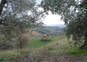 Foto 28 - Rustico Contrada Comunanza - Loc. PRETAROLO, Monsampolo del Tronto - foto 28