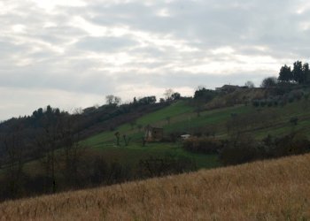 Foto 29 - Rustico Contrada Comunanza - Loc. PRETAROLO, Monsampolo del Tronto - foto 29