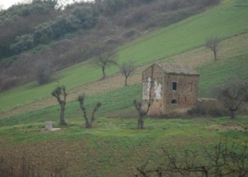 Foto 30 - Rustico Contrada Comunanza - Loc. PRETAROLO, Monsampolo del Tronto - foto 30