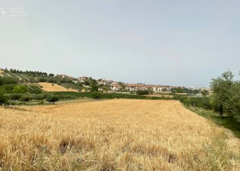 Foto 1 - Terreno edificabile Via G. Matteotti
 
snc, Monteprandone - foto 1