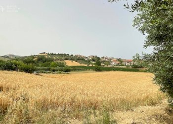 Foto 3 - Terreno edificabile Via G. Matteotti
 
snc, Monteprandone - foto 3