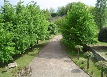 Foto 13 - Casa indipendente Zona Collinare, Montalto delle Marche - foto 13