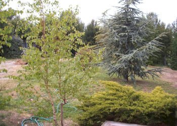 Foto 37 - Villa Contrada Magazzini
 
18, Grottammare - foto 37