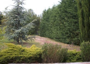 Foto 38 - Villa Contrada Magazzini
 
18, Grottammare - foto 38