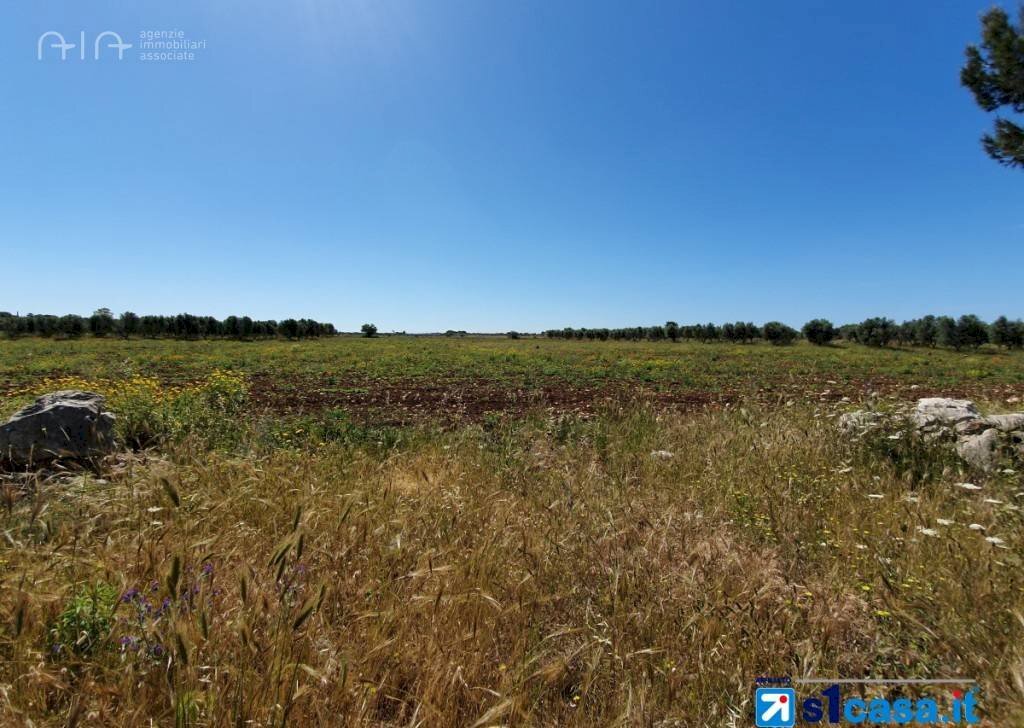 Foto 1 - Terreno edificabile C.da San Pietro
 
snc, Massignano - foto 1