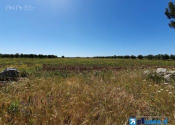 Foto 1 - Terreno edificabile C.da San Pietro
 
snc, Massignano - foto 1