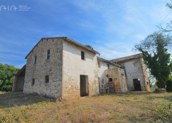 Foto 7 - Rustic C.da Macigne
 
snc, Monteprandone - photo 7