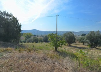 Foto 11 - Rustic C.da Macigne
 
snc, Monteprandone - photo 11