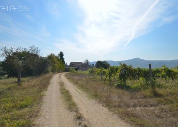 Foto 12 - Rustic C.da Macigne
 
snc, Monteprandone - photo 12