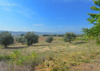 Foto 15 - Rustic C.da Macigne
 
snc, Monteprandone - photo 15