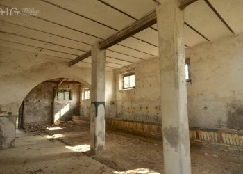 Foto 19 - Rustic C.da Macigne
 
snc, Monteprandone - photo 19